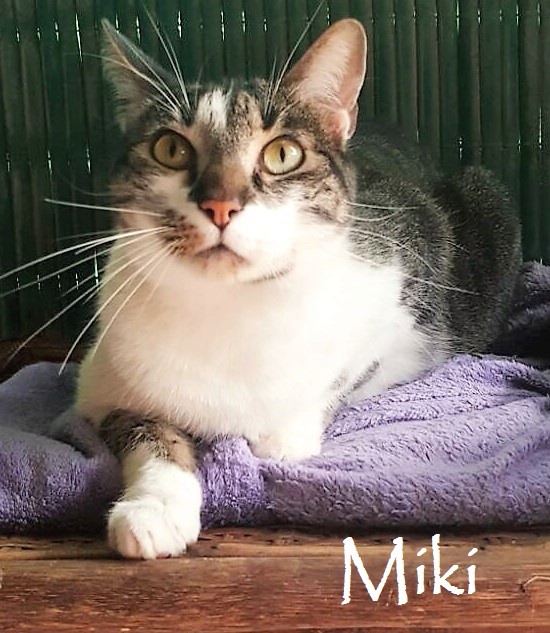 Miki