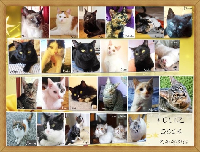 feliz2014