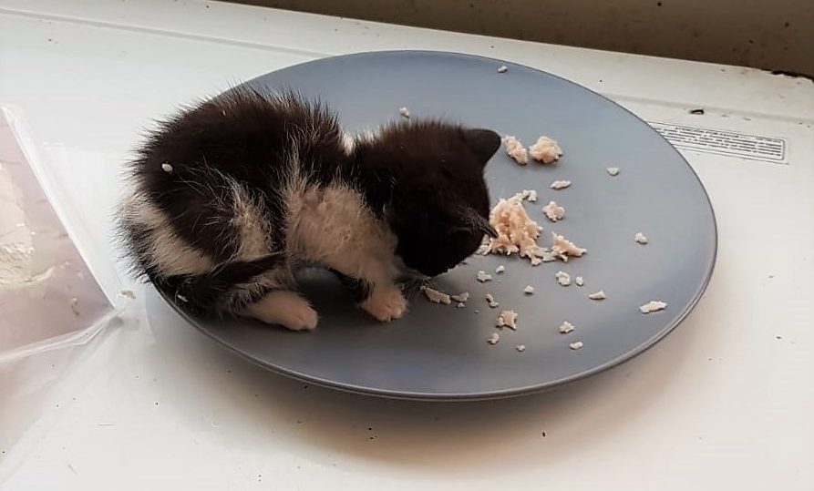 Esta peque es&nbsp;June…