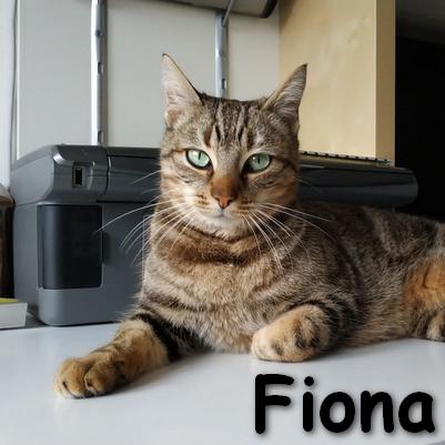 Fiona necesita casa de acogida
