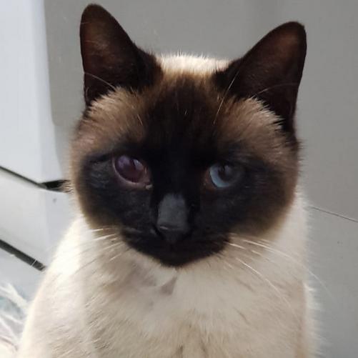 La lucha de una&nbsp;Reina