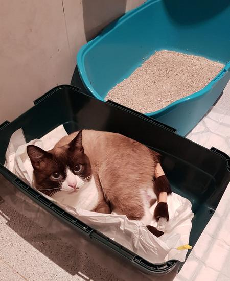 SALIENDO DE LA&nbsp;NADA…