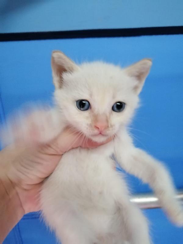 Iris…tirada a la&nbsp;basura