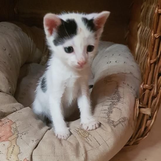 ABANDONADOS EN UN&nbsp;BAR…