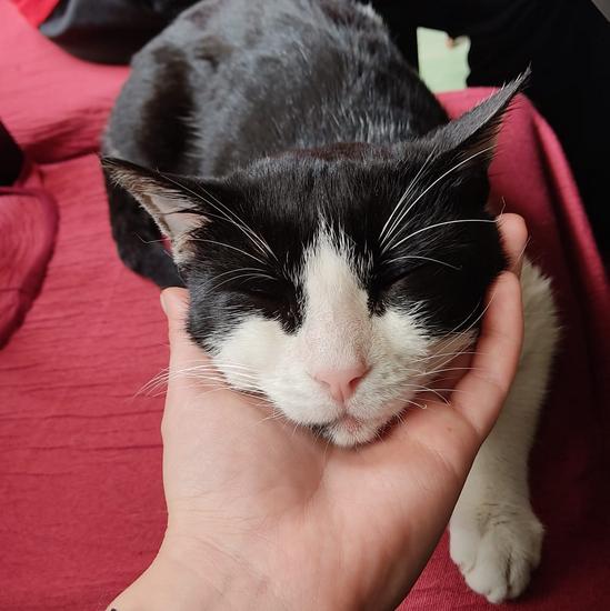 DE LA CALLE A UN&nbsp;HOGAR…