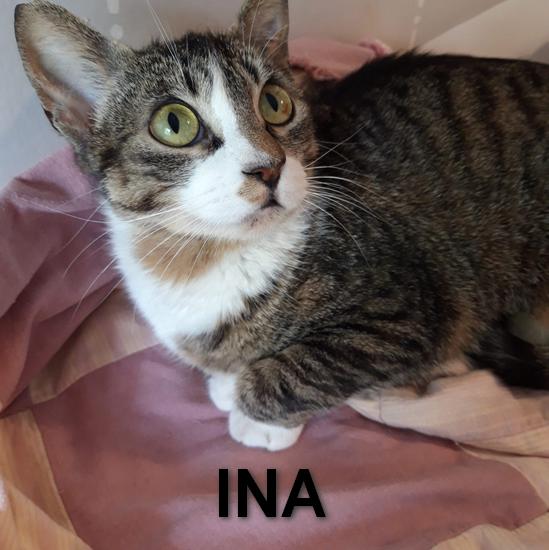 La imagen tiene un atributo ALT vacío; su nombre de archivo es ina.jpg