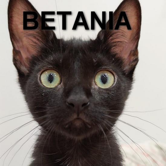 BETANIA