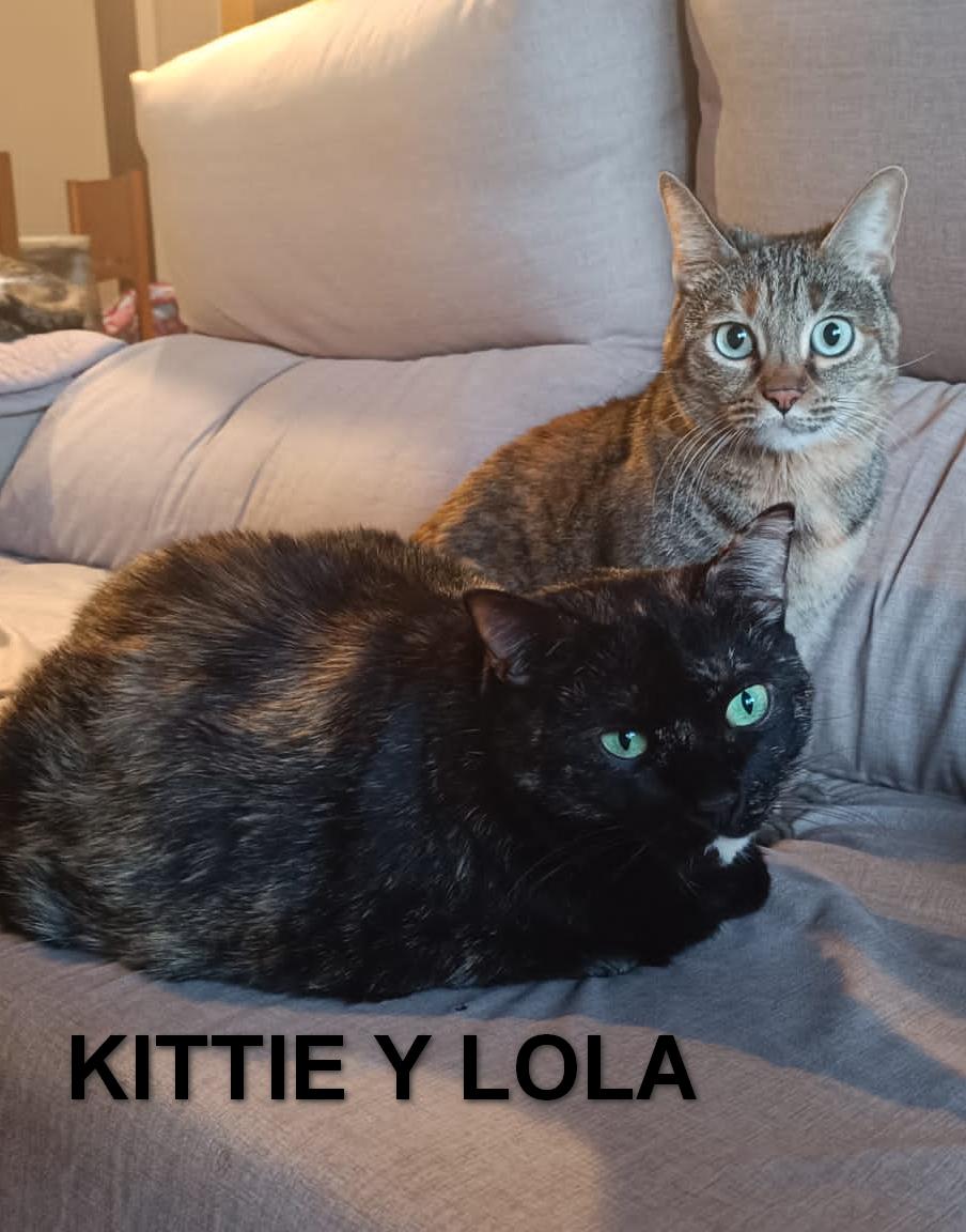 KITTIE Y LOLA