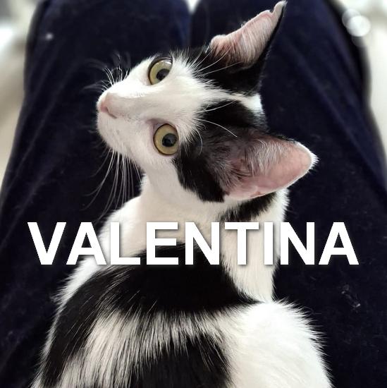VALENTINA