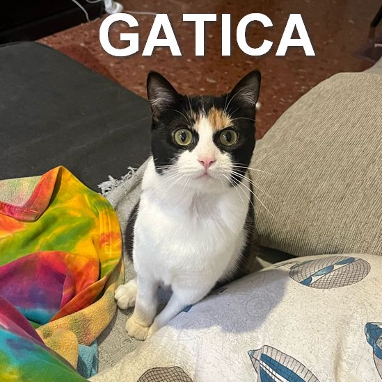 GATICA