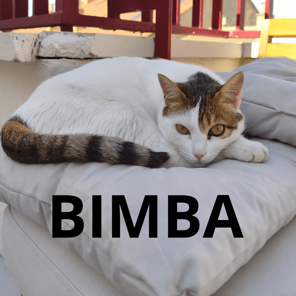 BIMBA