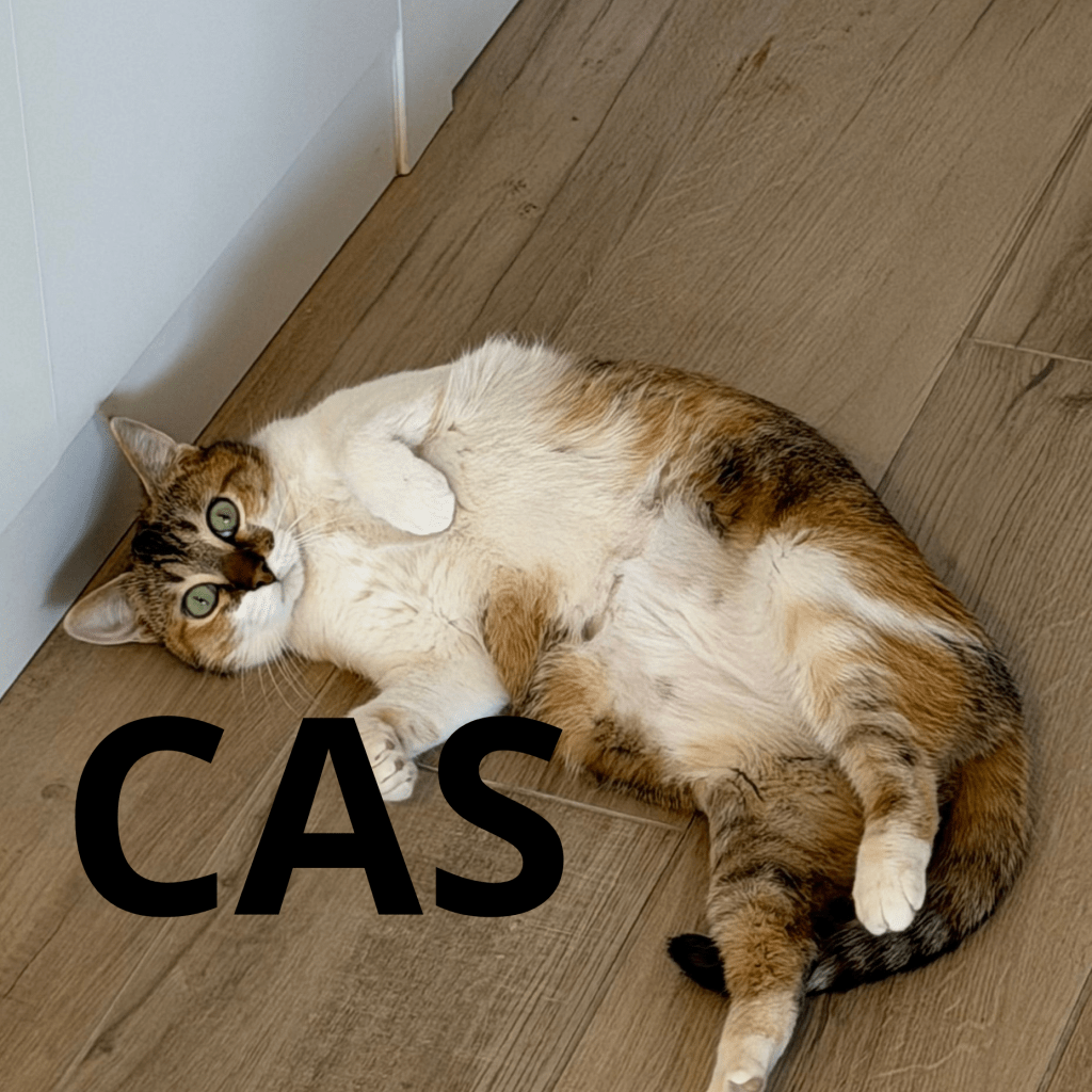 CAS