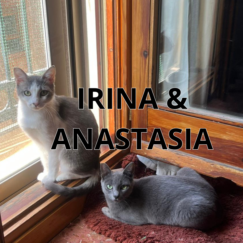 IRINA & ANASTASIA (caso&nbsp;especial)