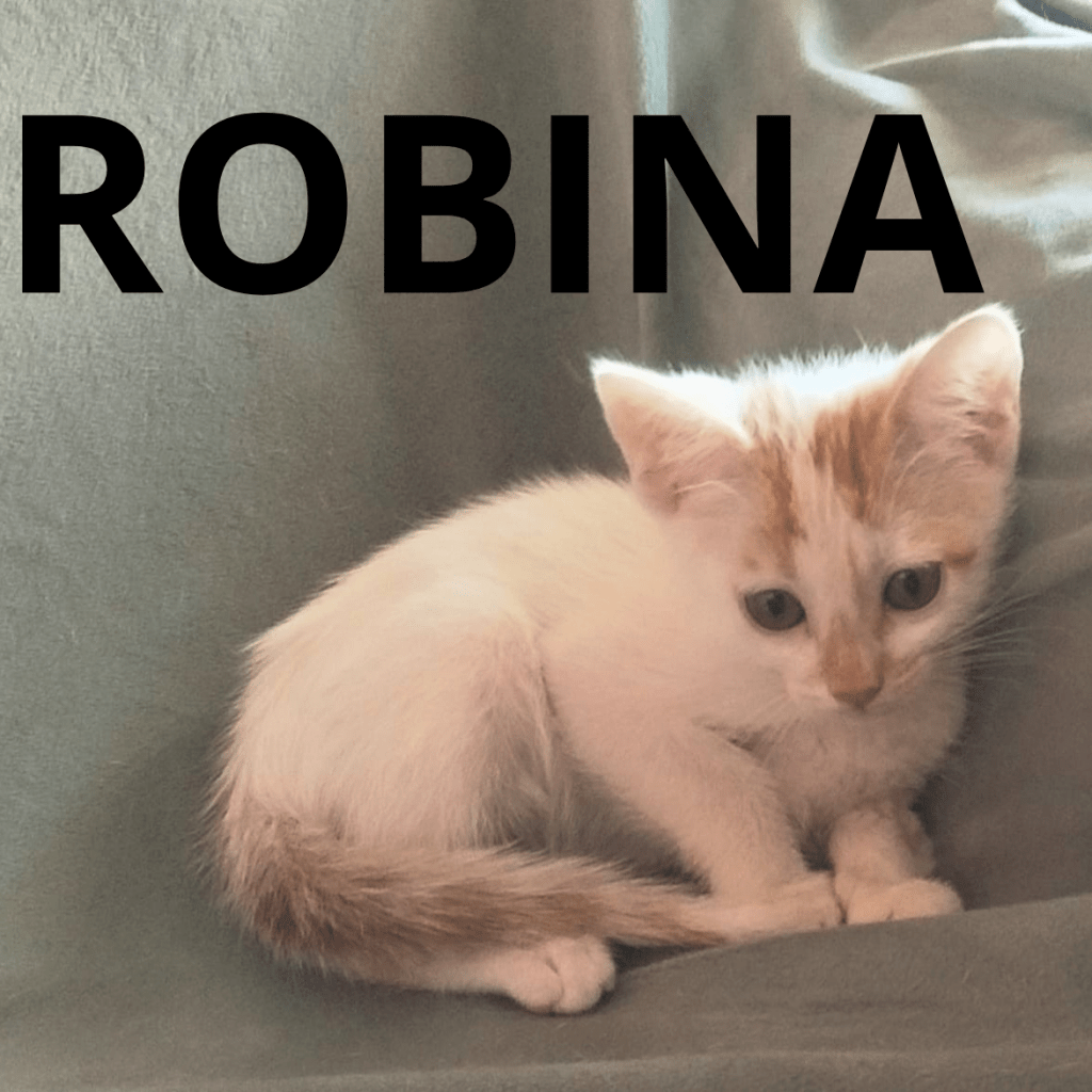 ROBINA