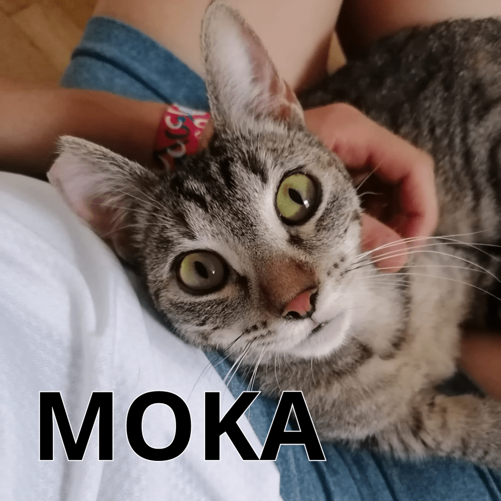 MOKA