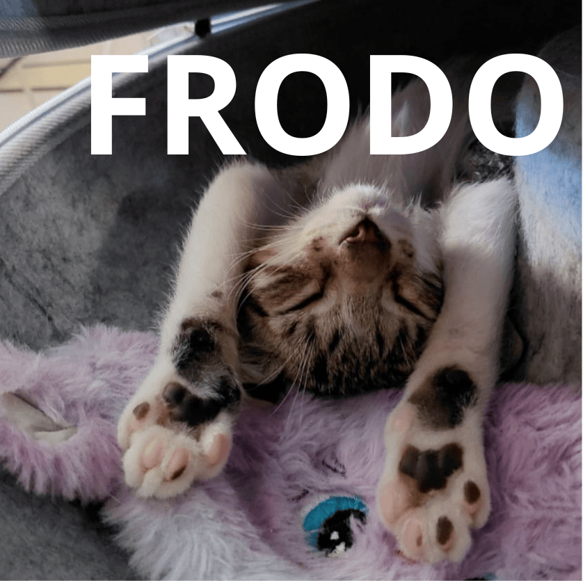 FRODO