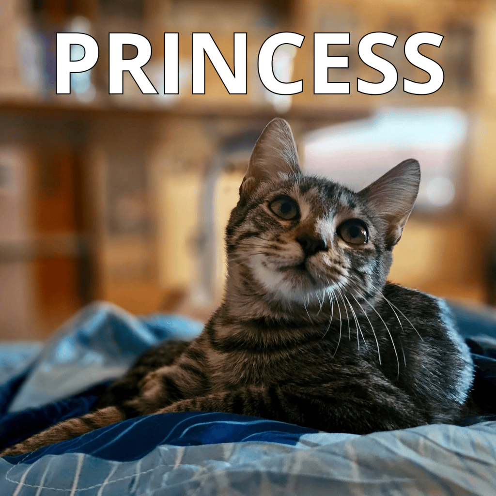 PRINCESS